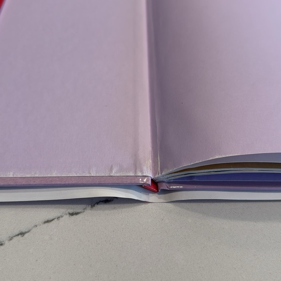 The Sleeping Beauty Book by Valeria Docampo - Picture 10 of 11